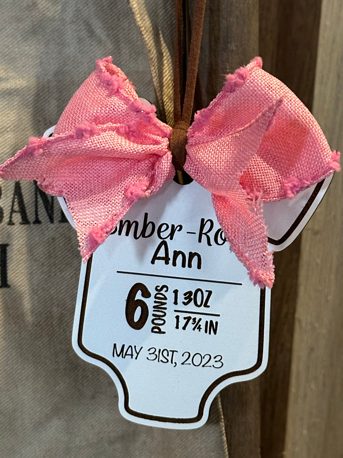 Onesie Baby Stats Ornament